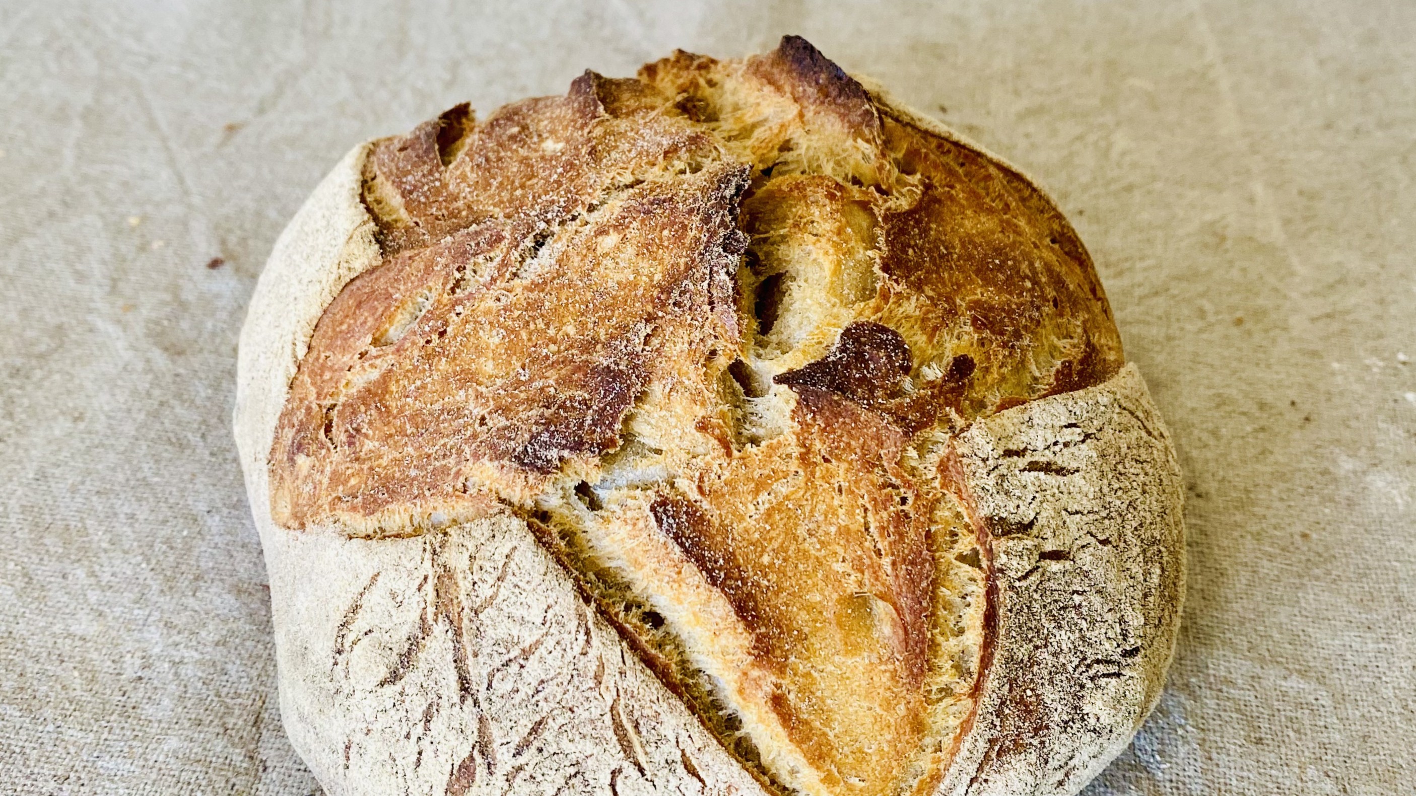 Pain de campagne